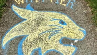 chalk drawing of whittier wildcats